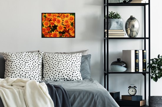 Cadre photo avec poster - Fleurs - Oranje - Chrysanthème - 40x30 cm - Cadre poster