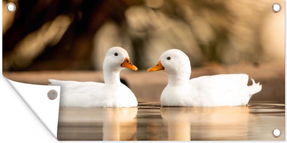 Gans Knuffeldier, Zeer Grote Enorme Gans Pluche Kussen Speelgoed, Schattige Gigantische Witte Gans Knuffeldier Eend Pluche Kussen(1.6m