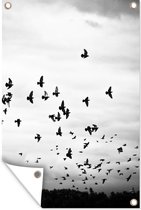 Muurdecoratie Dieren - Vogels - Wolken - Zwart - Wit - 120x180 cm - Tuinposter - Tuindoek - Buitenposter