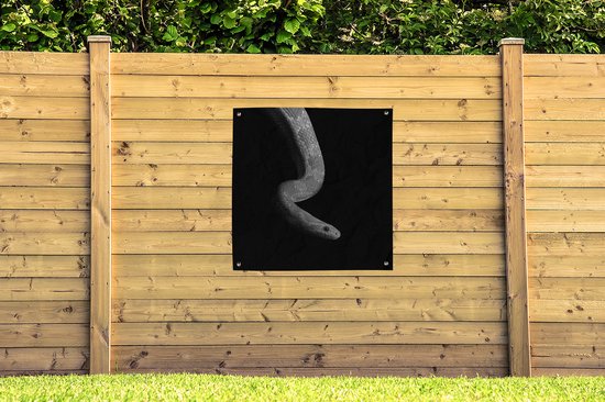 Toile de jardin Animaux - Serpent - Zwart - Wit - Portrait - 100x100 cm