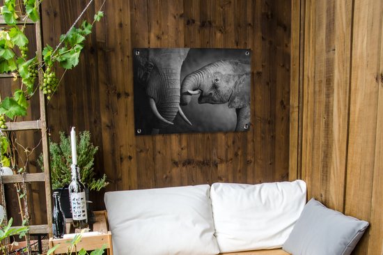 Tableau jardin Animaux sauvages - Éléphant - Zwart - Wit - Portrait - 80x60 cm - Affiche jardin - Toile jardin - Affiche extérieur