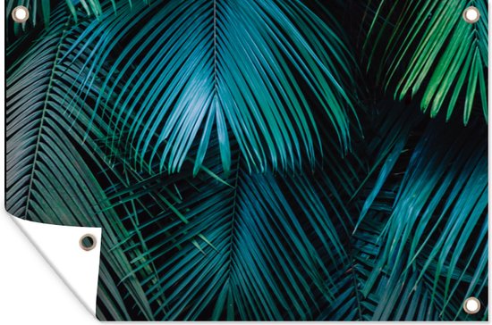 Tuindecoratie Palmblad - Tropisch - Natuur - Jungle - 60x40 cm - Tuinposter - Tuindoek - Buitenposter