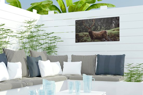 Affiche de jardin Cerf - Arbre - Berg - 60x30 cm