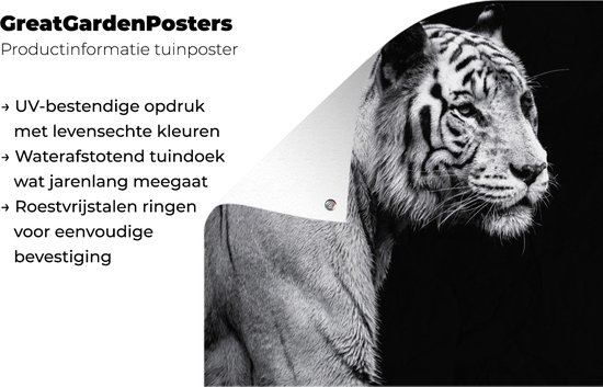Tigre blanc de Sibérie sur fond noir affiche de jardin toile en vrac 180x120 cm - Toile de jardin / Toile d'extérieur / Peintures d'extérieur (décoration de jardin) XXL / Groot format!