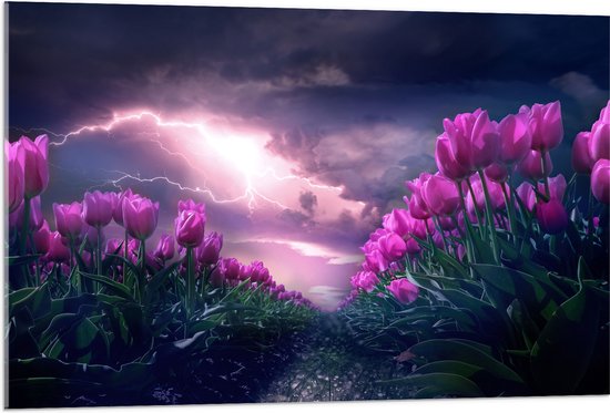 WallClassics - Verre Acrylique - Tonnerre et éclairs sur un champ de tulipes violettes - 105x70 cm Photo sur verre acrylique (Décoration murale sur acrylique)