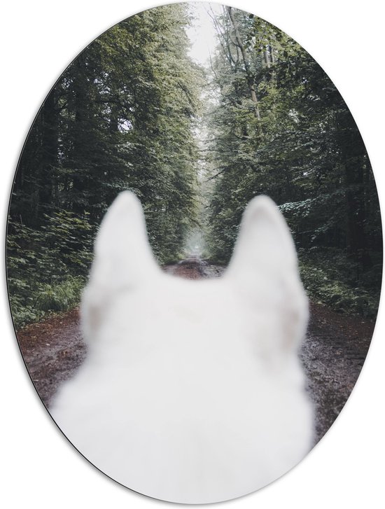 WallClassics - Dibond Ovaal - Achterkant Witte Hond in het Bos - 81x108 cm Foto op Ovaal (Met Ophangsysteem)