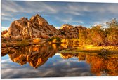 Dibond - Rotsen aan het Water bij Joshua Tree National Park - 105x70 cm Foto op Aluminium (Met Ophangsysteem)