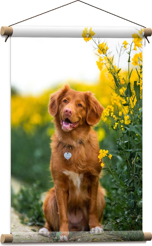 WallClassics - Textielposter - Bruine Hond naast Gele Bloemen - 40x60 cm Foto op Textiel