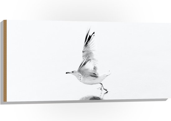 WallClassics - Hout - Vliegende Witte Vogel over het Water - 100x50 cm - 9 mm dik - Foto op Hout (Met Ophangsysteem)