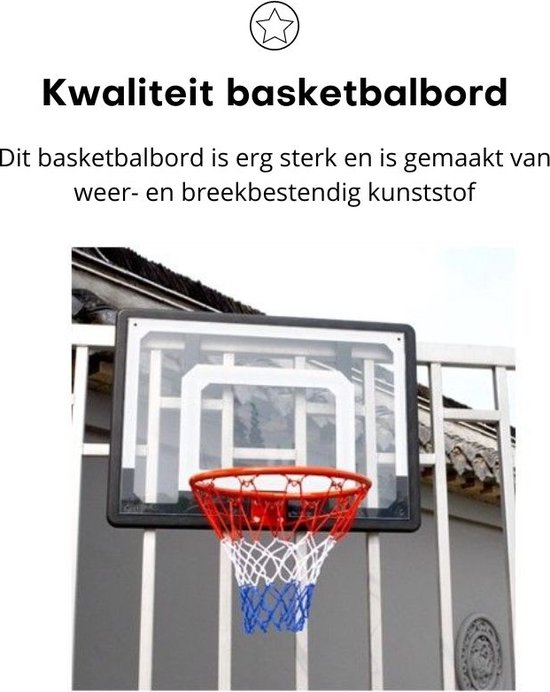 Pegasi Basketbalbord buiten en binnen met basketbalring - 82 x 58 cm - Incl. bevestiging - Fun