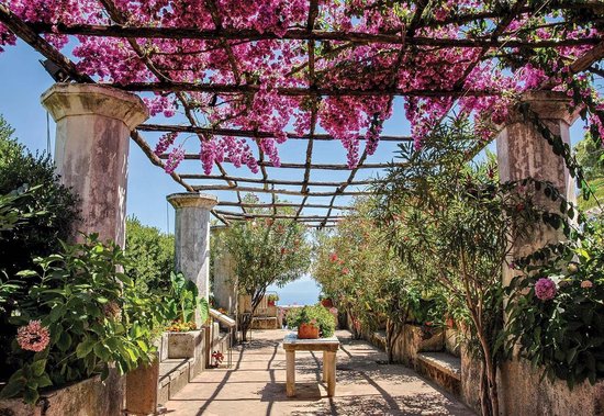 Fotobehang - Vlies Behang - Pergola met Bloemen - Tuin - 368 x 380 cm