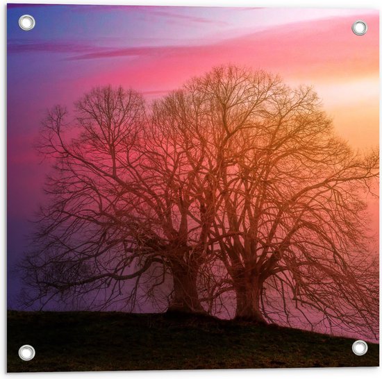 Tuinposter – Twee Grote Kale Bomen op Heuvel tijdens Ondergaande Zon - 50x50 cm Foto op Tuinposter (wanddecoratie voor buiten en binnen)