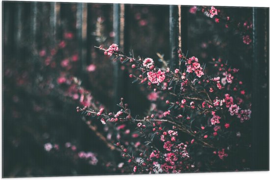 Vlag - Roze Bloemenstruik in Donker Kleurig Bos - 105x70 cm Foto op Polyester Vlag