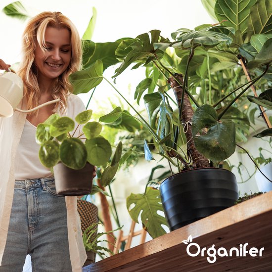 Een lachende vrouw met blonde haren giet water in een kamerplant.