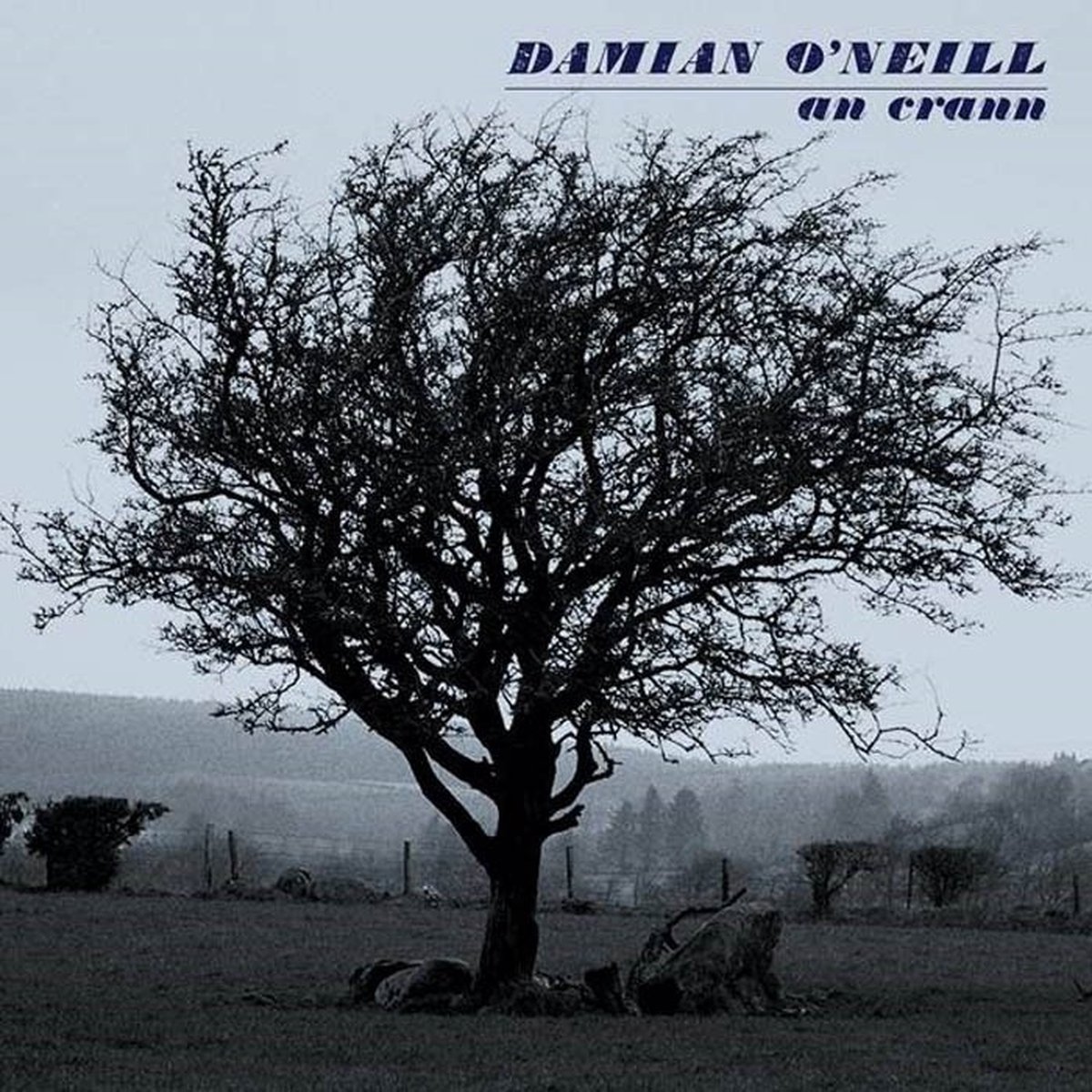 Damian O'Neill - An Crann (CD)