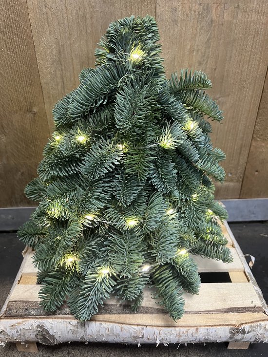 Nobilis Kerstboom -Met verlichting - 30CM - Mini Kerstboompje - Handgemaakt - Vers Groen - Nobelis -