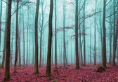 Fotobehangkoning - Bos met Bladeren - Bomen - Vliesbehang - Behang - 152,5 x 104 cm