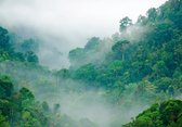Fotobehangkoning - Regenwoud - Bos in de Mist Vliesbehang - Behang - 152,5 x 104 cm