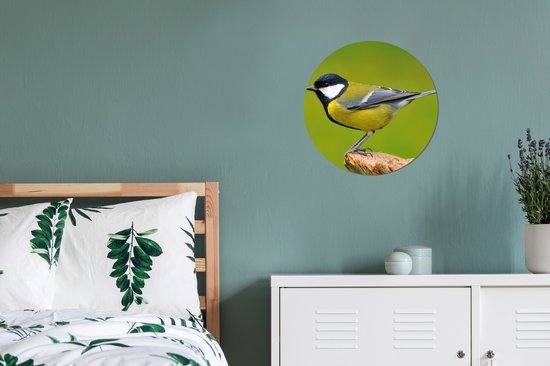 Cercle mural - Cercle mural - Vogel - Mésange charbonnière - Vert - Animaux - Plastique - Cercle mural intérieur - Tableaux ronds - 30x30 cm - Cercle mural oiseau - Décoration murale rond - Tableau rond