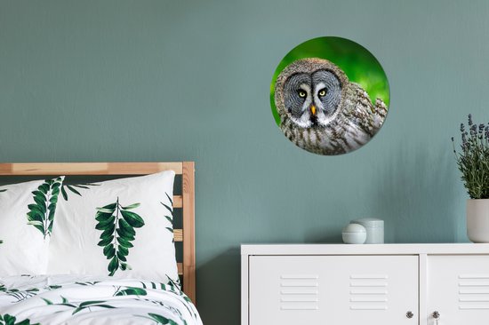 WallCircle - Cercle mural - Cercle mural - Vogel - Hibou - Animaux - Plastique - 30x30 cm - Cercle mural intérieur - Décoration murale ronde - Tableaux ronds