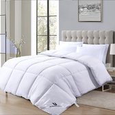 Dekbed Roman Rembourrage 4 Saisons - Qualité Hotel - Garnissage Siliconé - Doux - Anti Allergique - Lavable - 400 GSM (200 x 200 cm)