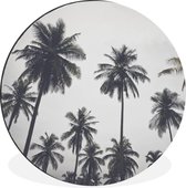 WallCircle - Wandcirkel - Muurcirkel - Palmboom - Tropisch - Natuur - Aluminium - Dibond - ⌀ 120 cm - Binnen en Buiten XXL