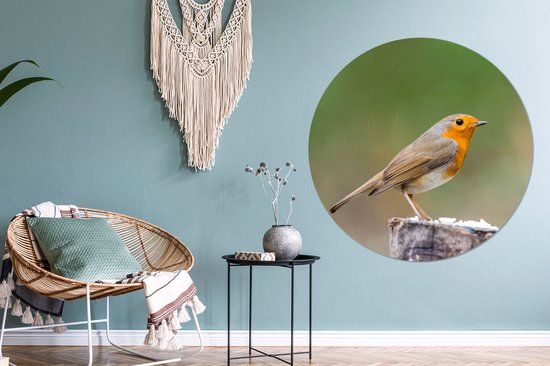 WallCircle - Cercle Mural - Cercle Mural - Animaux - Vogel - Rouge-gorge - Aluminium - Dibond - 120x120 cm - Intérieur et Extérieur XXL