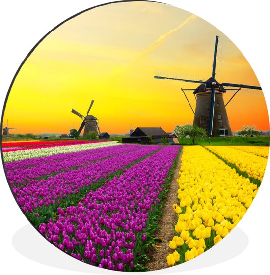 WallCircle - Wandcirkel - Muurcirkel - Windmolen - Tulpen - Bloemen - Lente - Aluminium - Dibond - ⌀ 60 cm - Binnen en Buiten