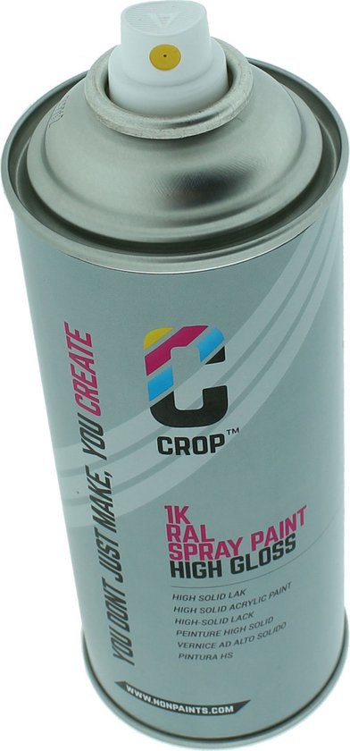 Bombe de peinture pour plastique 2K RAL blanc brillant 