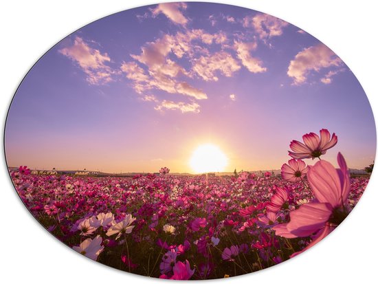 WallClassics - Dibond Ovaal - Veld Roze Bloemen met Paarse Lucht - 108x81 cm Foto op Ovaal (Met Ophangsysteem)