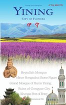 Charming Cities in Xinjiang Series:YINING