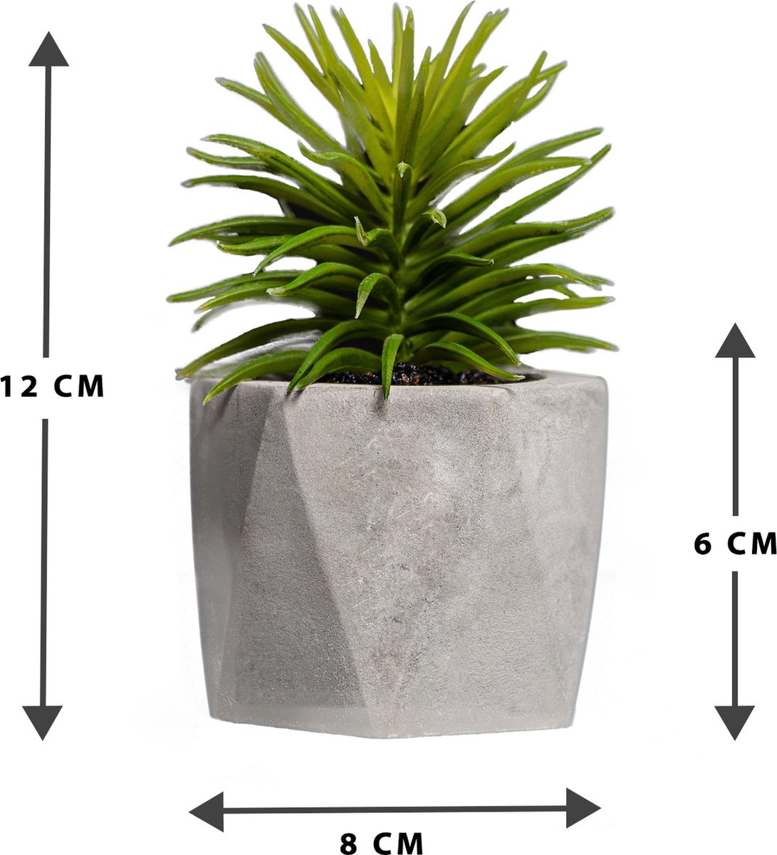 Atmosphera Plante Artificielle - Fausse Plante - Ciment - Set de 3 - Pour  Intérieur 
