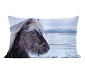 Sierkussen Paarden pour l'intérieur - Cheval islandais au coucher du soleil violet - 60x40 cm - Coussin intérieur rectangulaire en coton