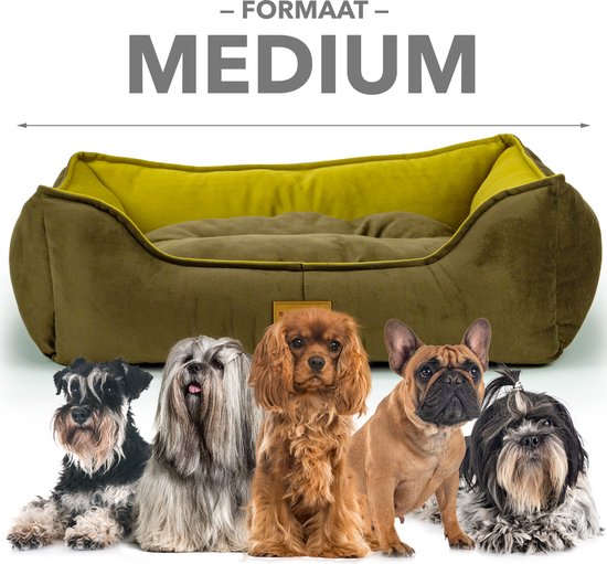 Hondenrugzak 6 kg – Rugtas draagzak voor Kleine honden, Reizen & wande