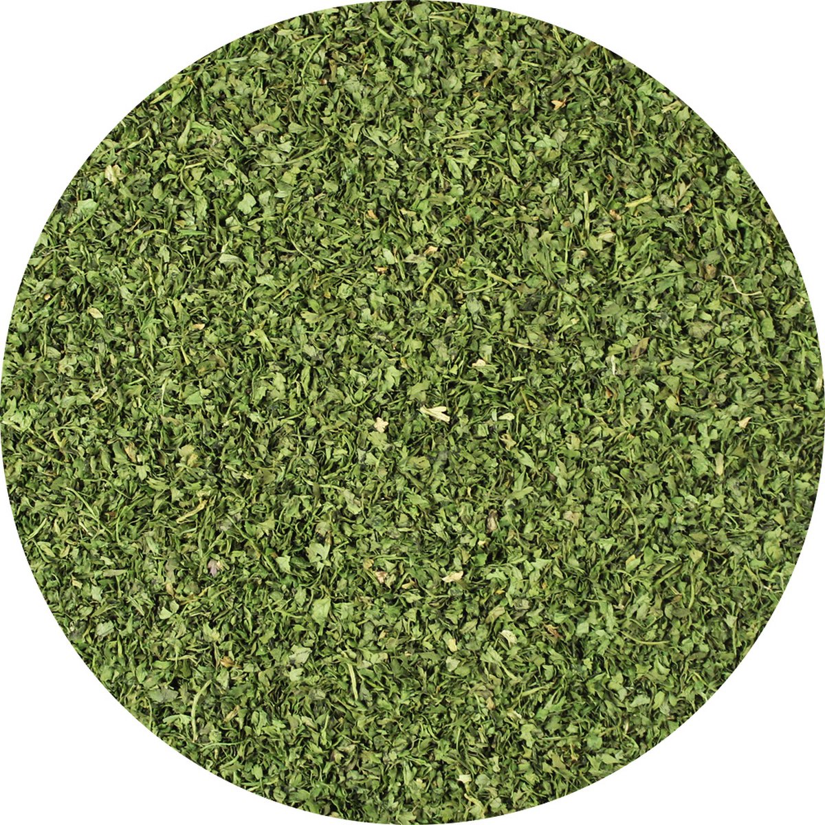 Goedkoopste Van Beekum Specerijen - Kervel Gesneden - 6 KG - Zak (bulk verpakking