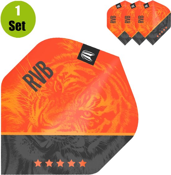 Target Raymond van Barneveld Dartflight G4 van Target — afbeelding 3