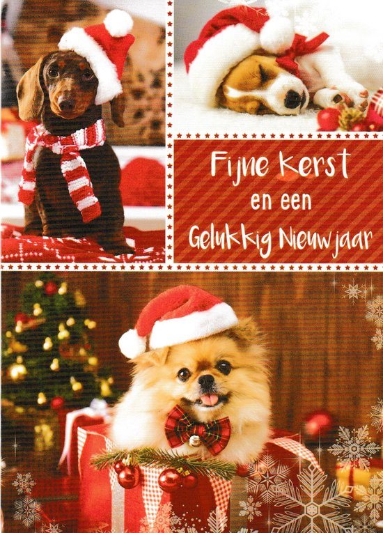 Kerst en nieuwjaarskaarten 20 stuks (4 designs) inclusief