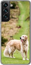 Geschikt voor Samsung Galaxy S22 hoesje - Prachtige afbeelding van een Golden Retriever - Siliconen Telefoonhoesje