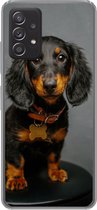 Geschikt voor Samsung Galaxy A53 5G hoesje - Studio foto van teckel puppy - Siliconen Telefoonhoesje