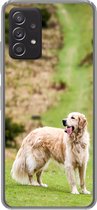Geschikt voor Samsung Galaxy A53 5G hoesje - Prachtige afbeelding van een Golden Retriever - Siliconen Telefoonhoesje