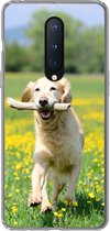 Geschikt voor OnePlus 8 hoesje - Golden Retriever met een tak in de mond tussen de gele bloemen - Siliconen Telefoonhoesje