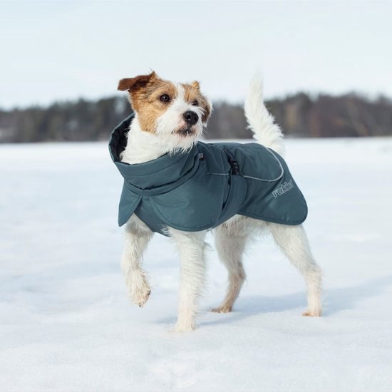 Manteau d'hiver pour chiens | bol