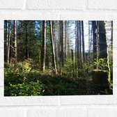 WallClassics - Muursticker - Bruine Bomen in een Bos - 40x30 cm Foto op Muursticker