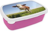 Broodtrommel Roze - Lunchbox - Brooddoos - Koe - Dieren - Bloemen - Gras - 18x12x6 cm - Kinderen - Meisje