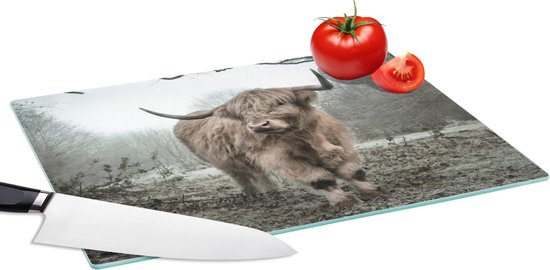 Planche à découper en Verres - 39x28 - Highlander écossais - Forêt - Brouillard - Vache - Animaux - Nature - Planches à découper en Glas