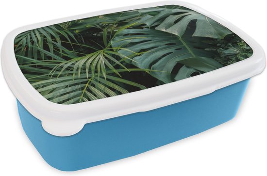 Lunchbox Blauw - Lunchbox - Boîte à pain - Plantes - Jungle - Feuilles - Tropical - 18x12x6 cm - Enfants - Garçon