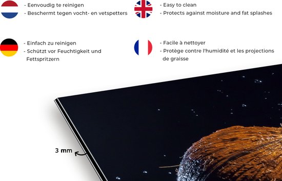 Spatscherm keuken 90x45 cm - Kookplaat achterwand Kokosnoot - Stilleven - Water - Zwart - Fruit - Muurbeschermer - Spatwand fornuis - Hoogwaardig aluminium