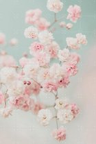 IXXI Pink Gypsophilia Flowers - Wanddecoratie - Fotografie - 120 x 180 cm