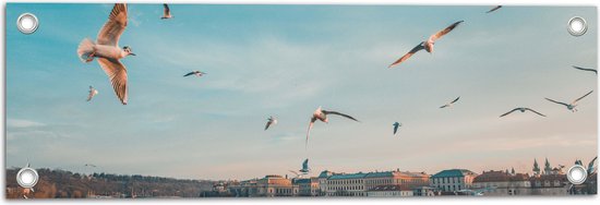 WallClassics - Tuinposter – Vliegende Vogels Boven een Rivier in Praag - 60x20 cm Foto op Tuinposter  (wanddecoratie voor buiten en binnen)