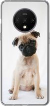 Geschikt voor OnePlus 7T hoesje - Hond - Huisdieren - Portret - Siliconen Telefoonhoesje
